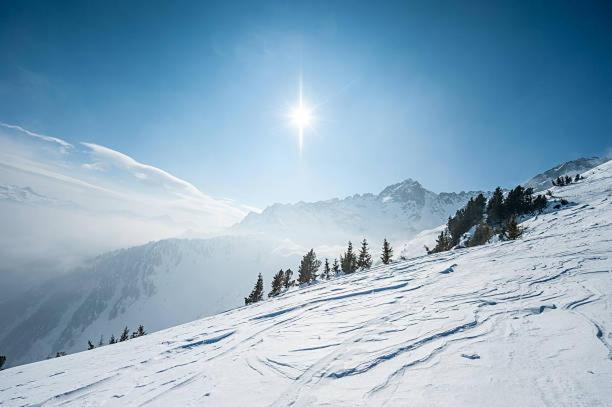 Hotel Les Alpes Allevard Luaran gambar